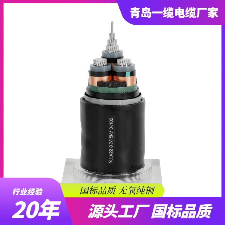 電線電纜應(yīng)用場景解析:從基礎(chǔ)到智能化的連接紐帶 電線電纜應(yīng)用場景解析:從基礎(chǔ)到智能化的連接紐帶