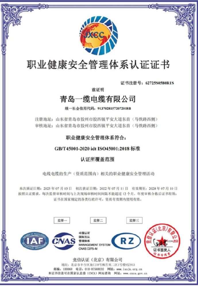 職業(yè)健康安全管理體系認證證書