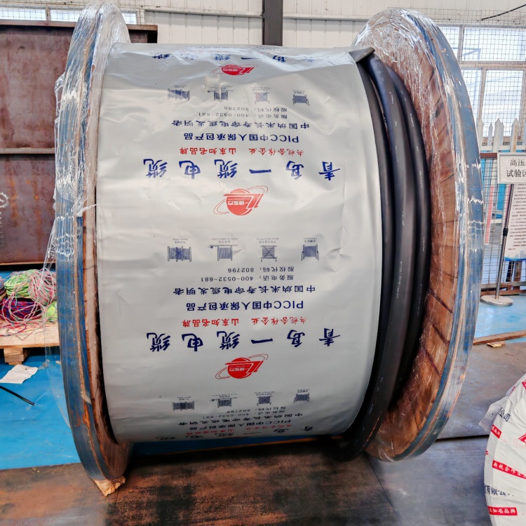 電力電纜的核心特性、應用場景與選型養(yǎng)護要點